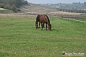 VBS_7551 - Andare lontano, oltre i campi da arare... e ancora più in là